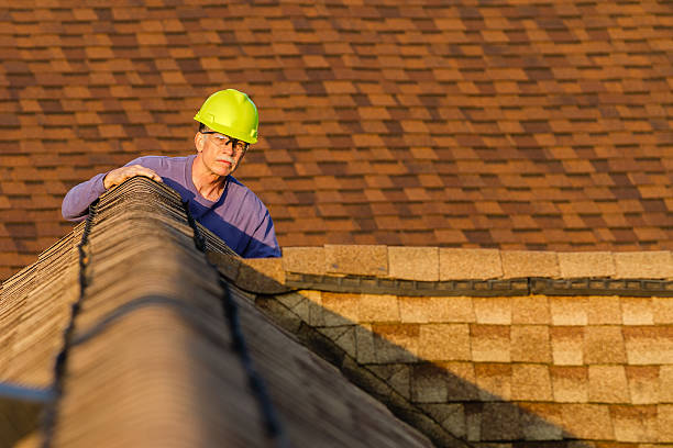 Best Roof Gutter Cleaning  in Statham, GA